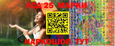 стафф Донской
