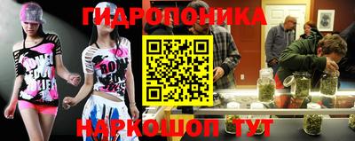 стафф Донской