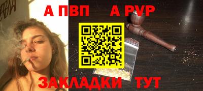стафф Донской