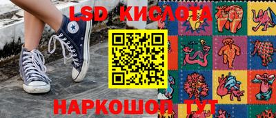 стафф Донской