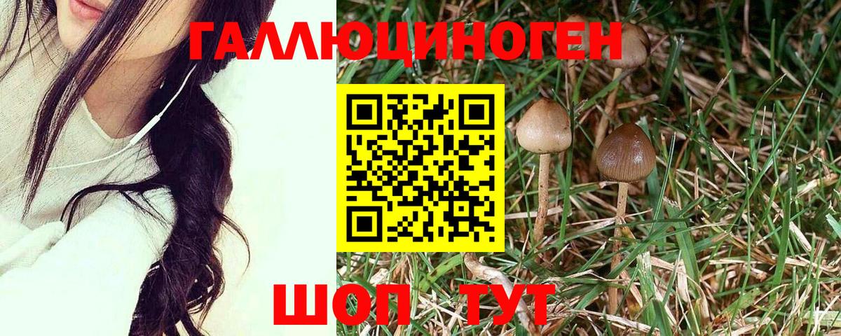 Псилоцибиновые грибы прущие грибы  Псилоцибиновые грибы мицелий  наркотики  Магадан  Вход с VPN 